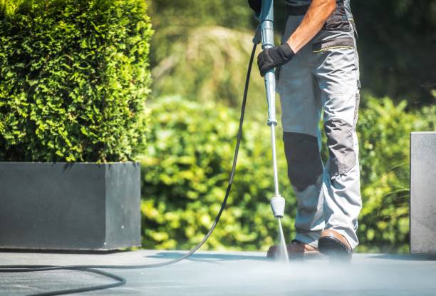 Best Paint Preparation  in Bellbrook, OH